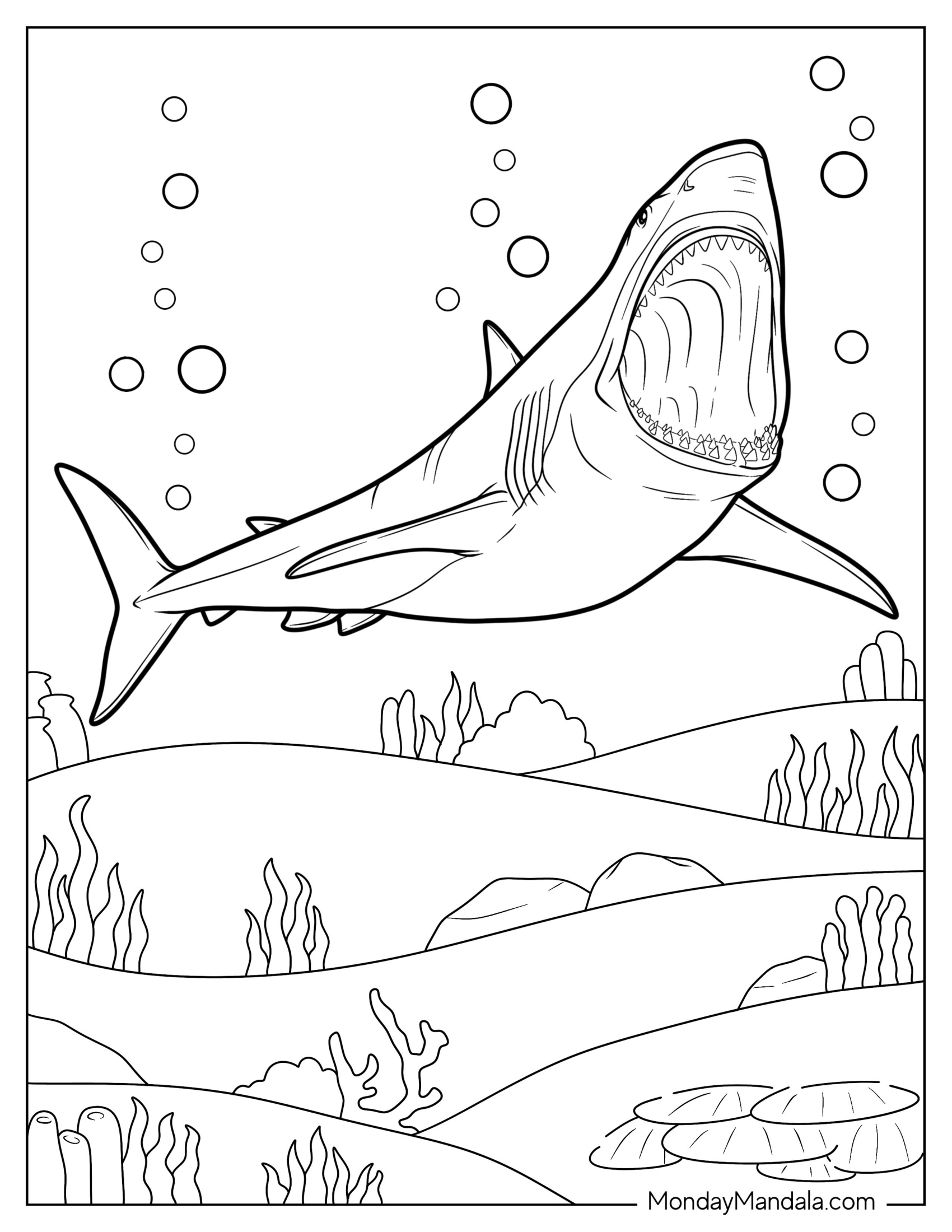 Shark Coloring Page Of Chilling Megalodon Showing Teeth