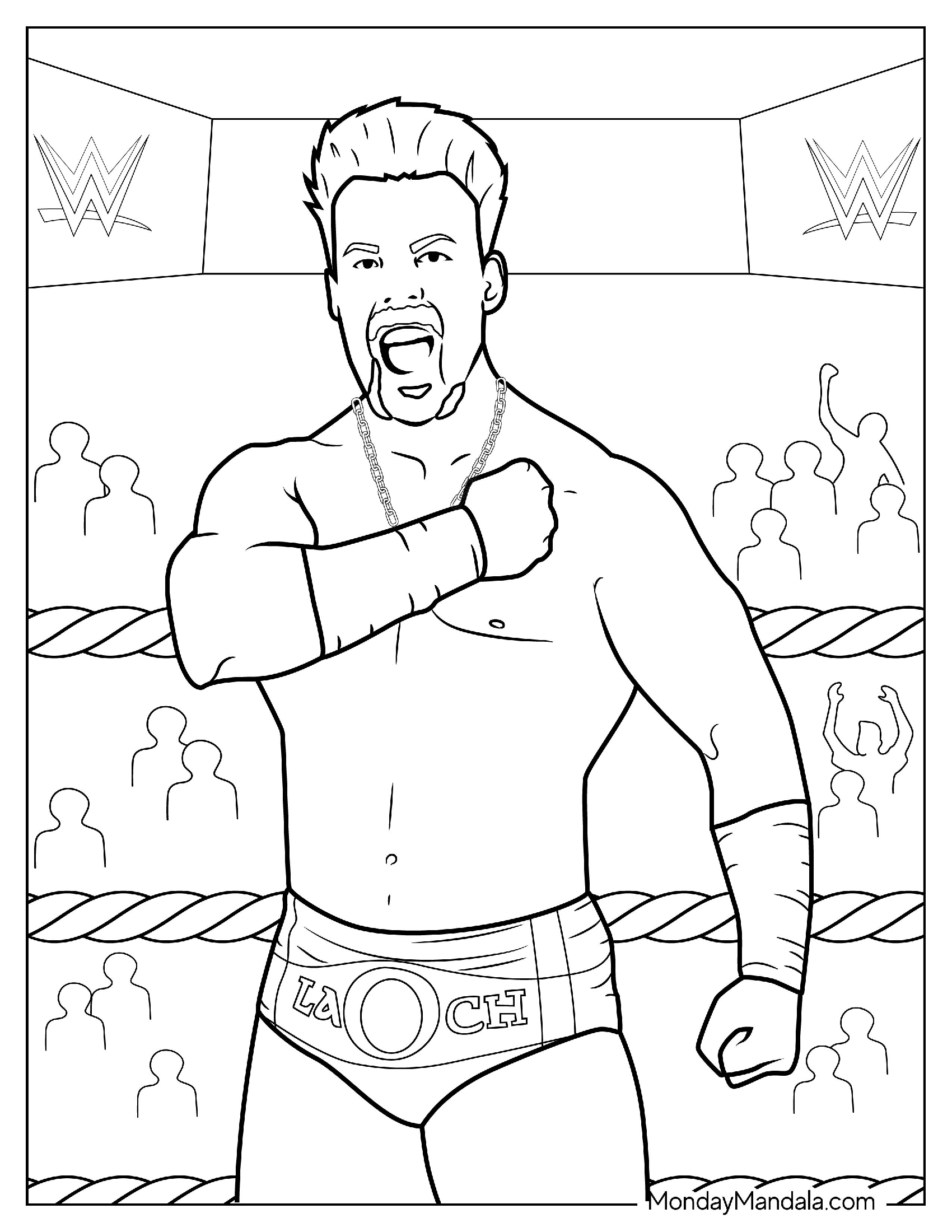 Sheamus WWE Wrestler