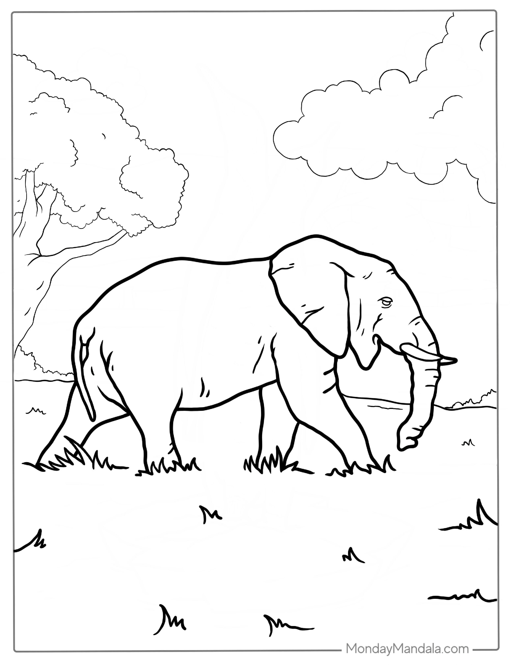 Side On View Of Asian Elephant To Color