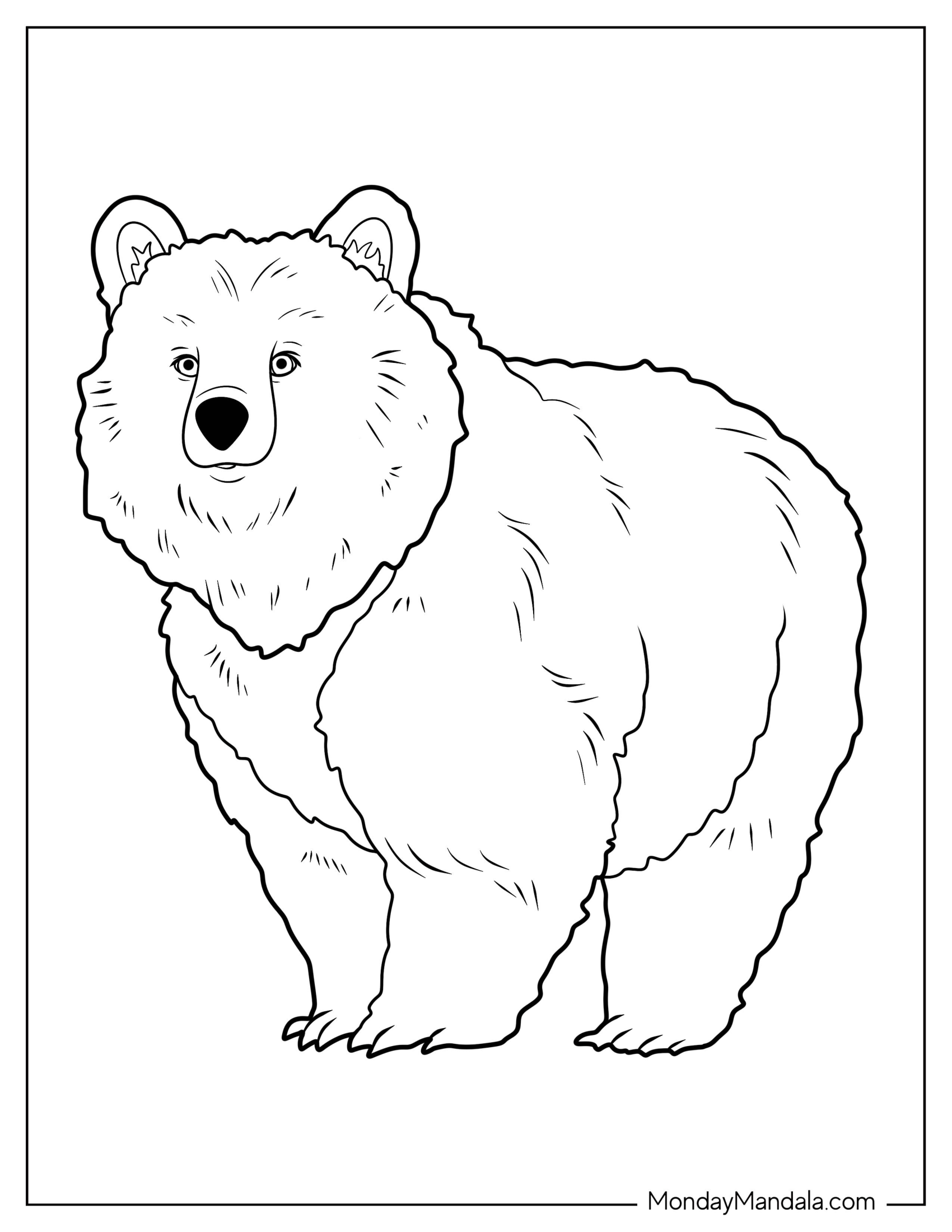 Simple Baby Bear Coloring Page WalkingFor Kids