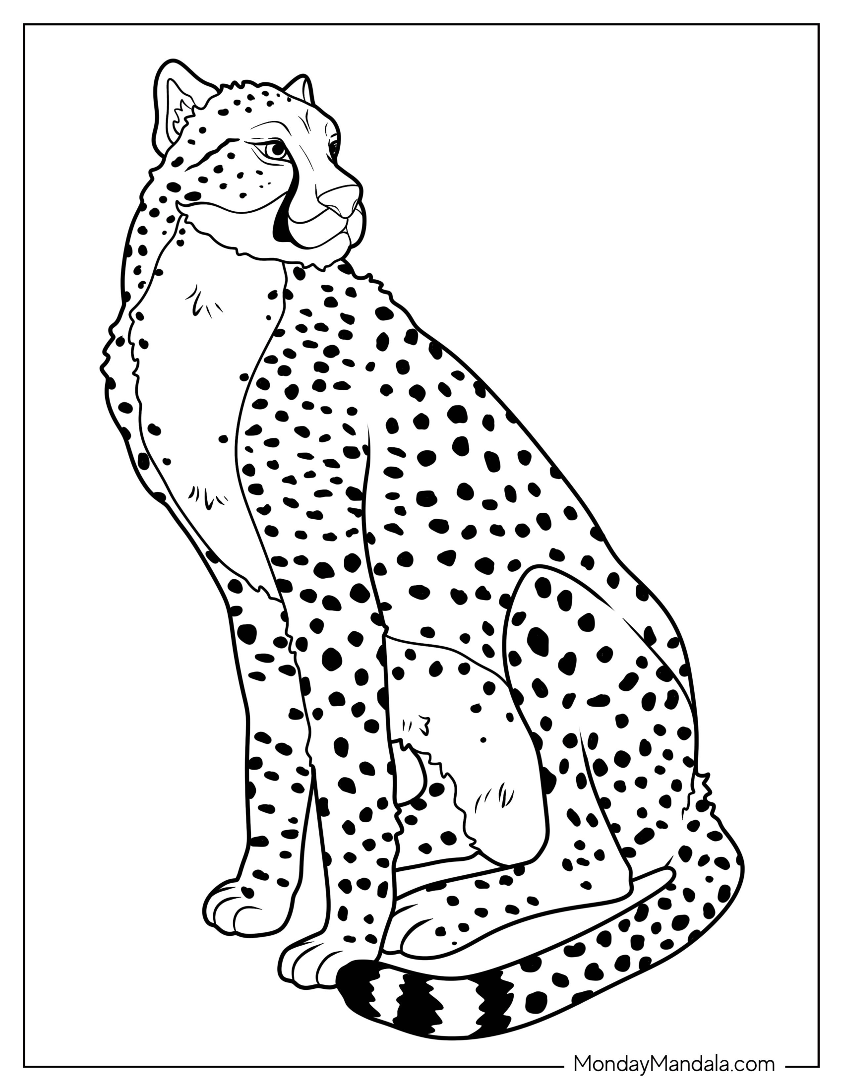 Simple Cheetah Coloring Page Looking Sideways