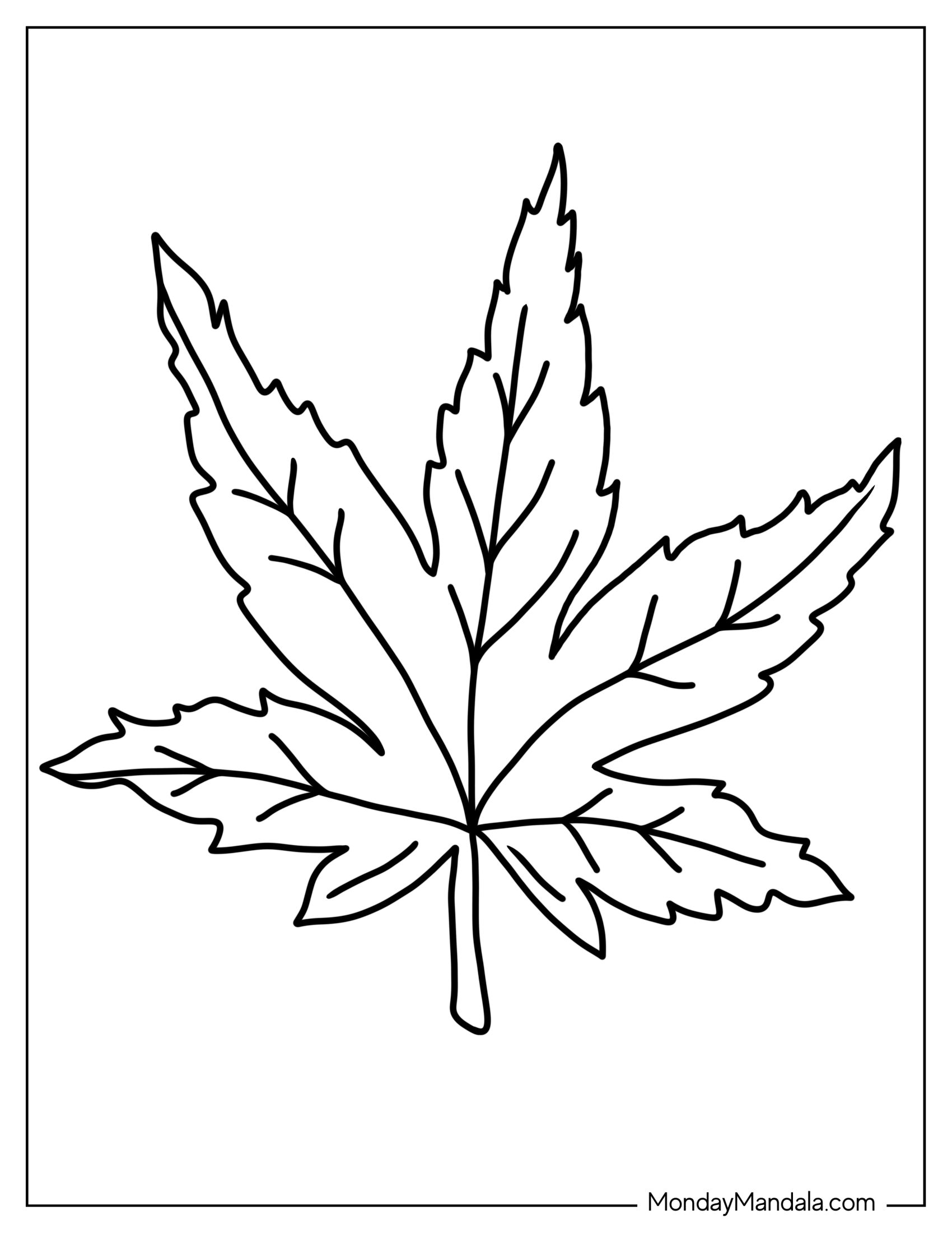 Simple Maple Leaf To Color