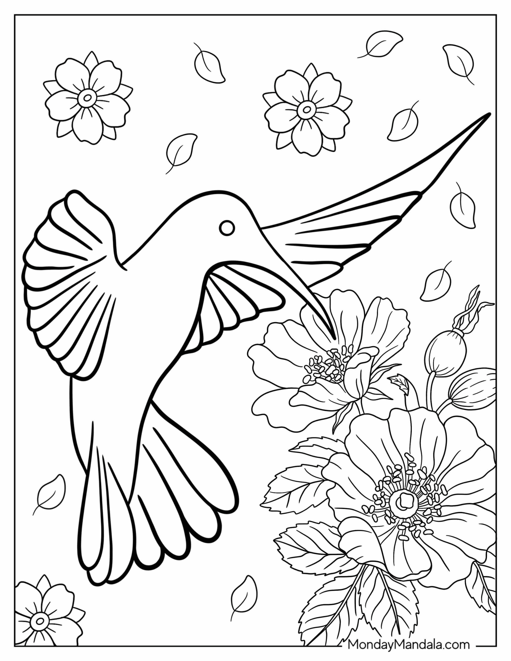 Simple Outline Of Hummingbird For Kids