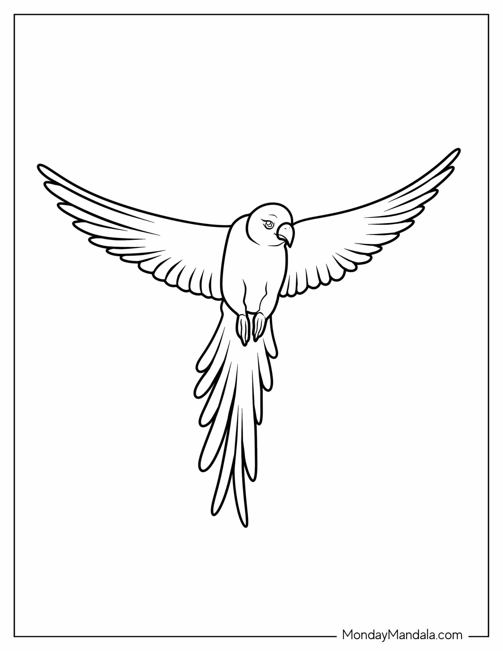 Simple Outline Of a Parrot Flying