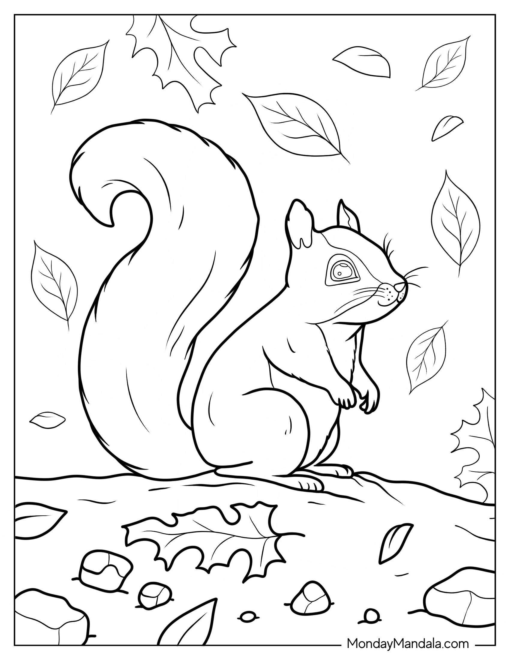 Simple Squirrel Coloring Page Outline In Fall For Kids