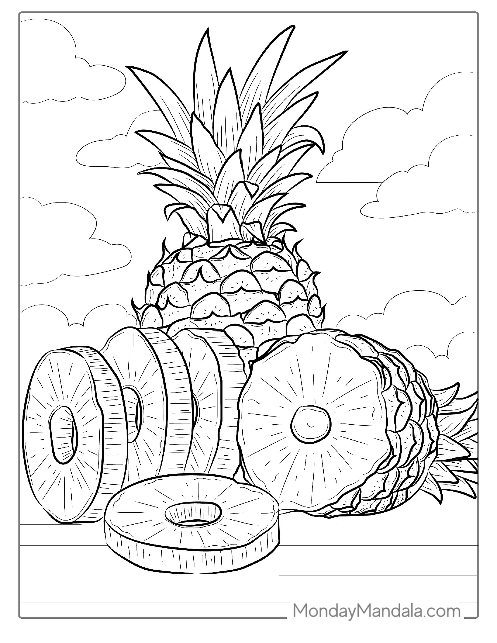 Sliced Pineapple Coloring Picture