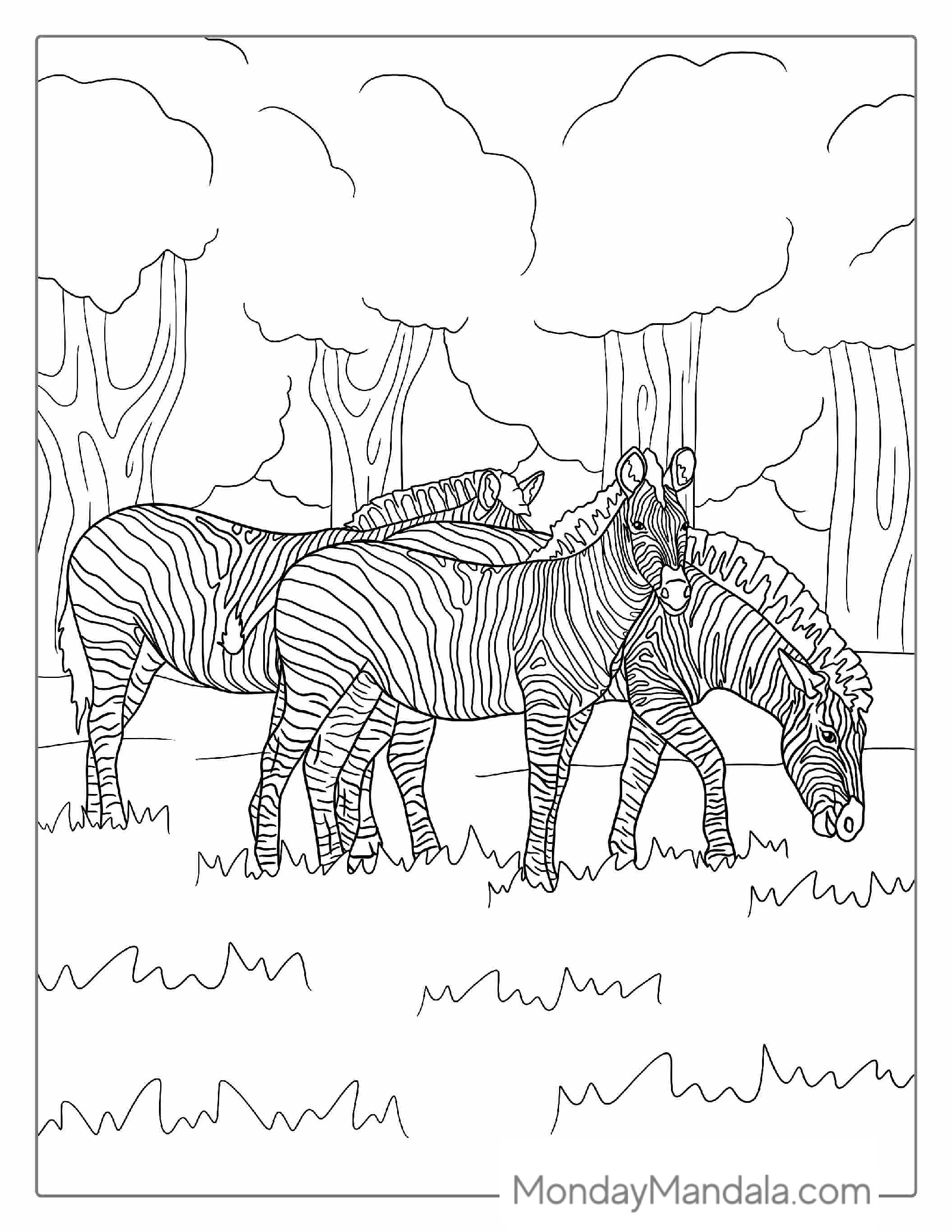 Three Realistic Zebras Grazing To Color