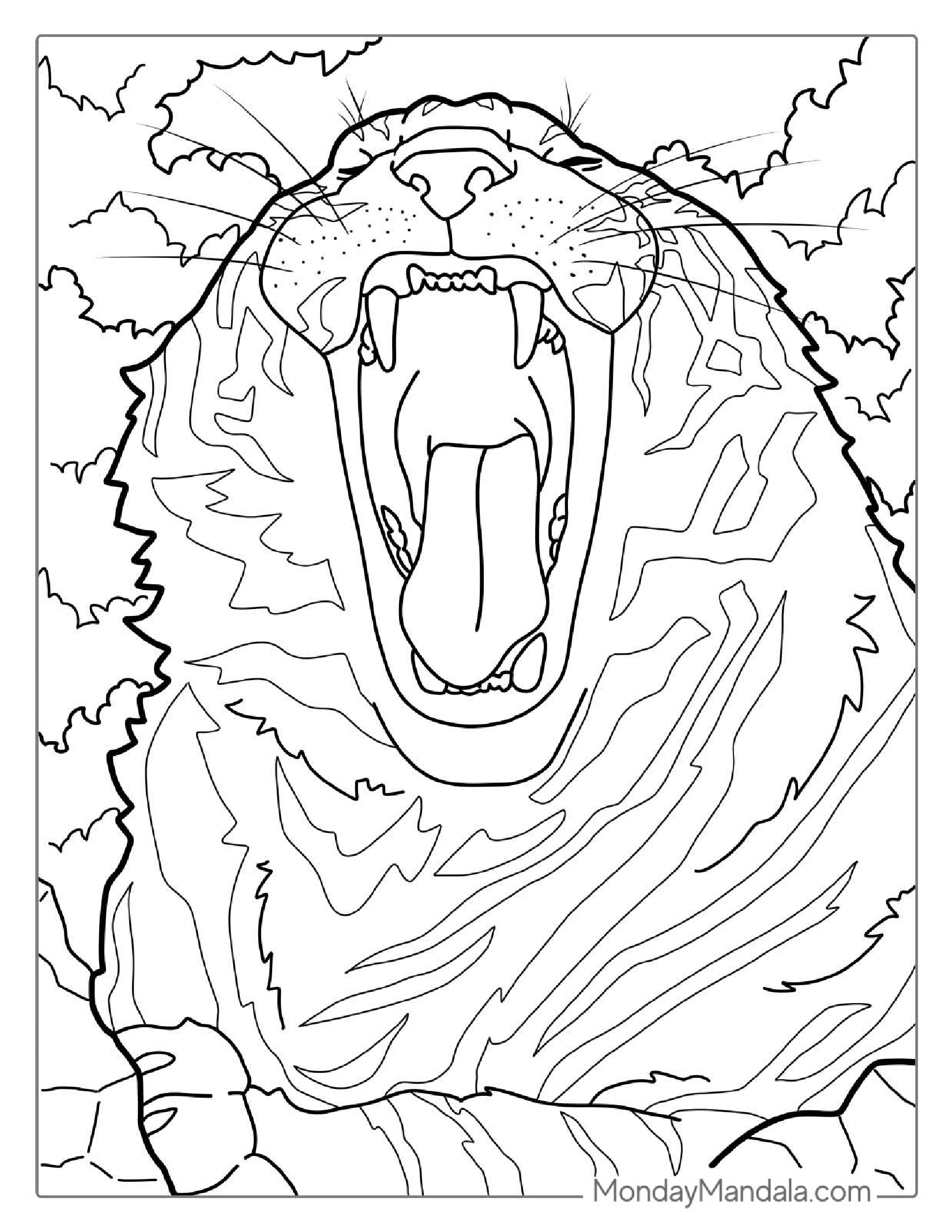 Tiger Doing A Big Yawn Coloring Sheet