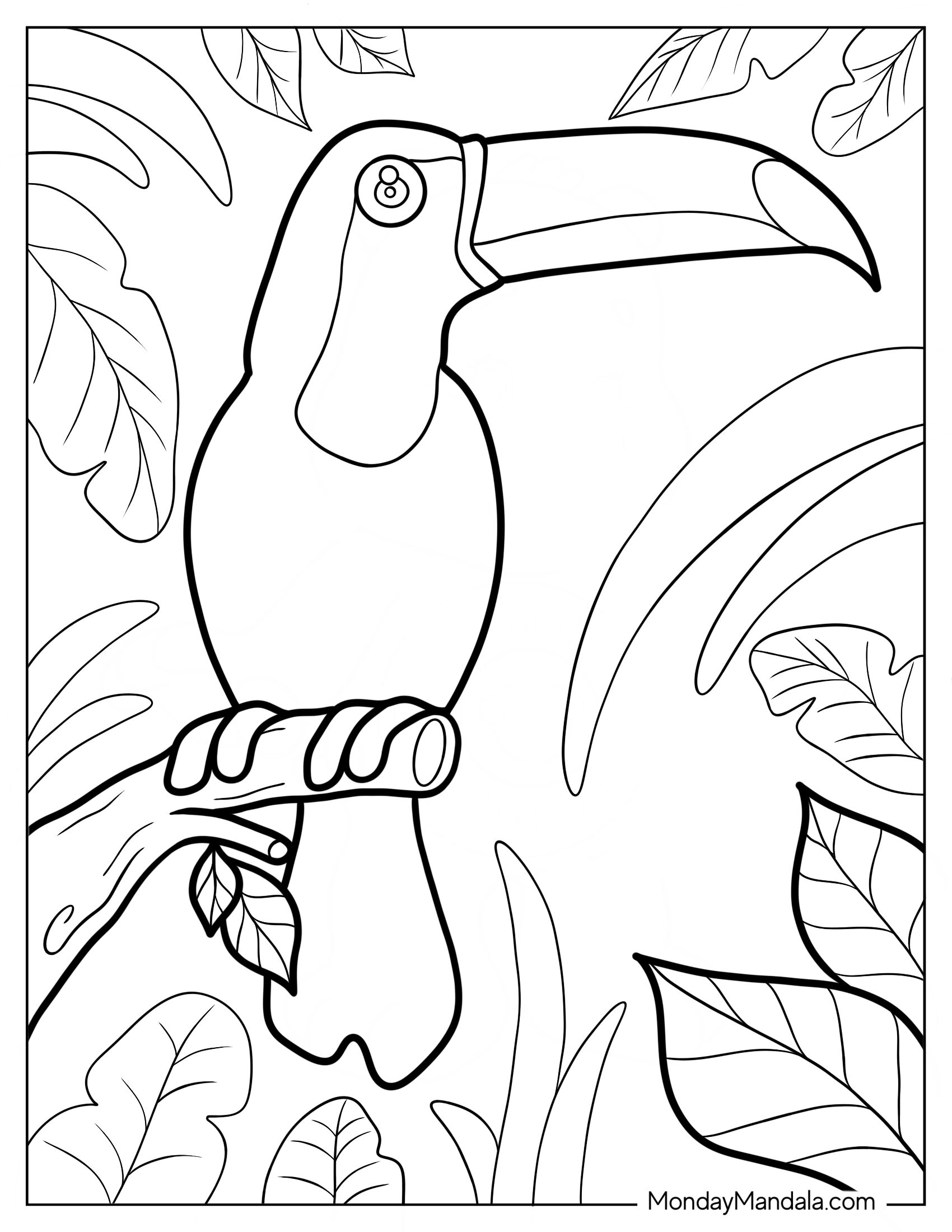 Toucan Coloring Page With Large Eyes For Preschoolers