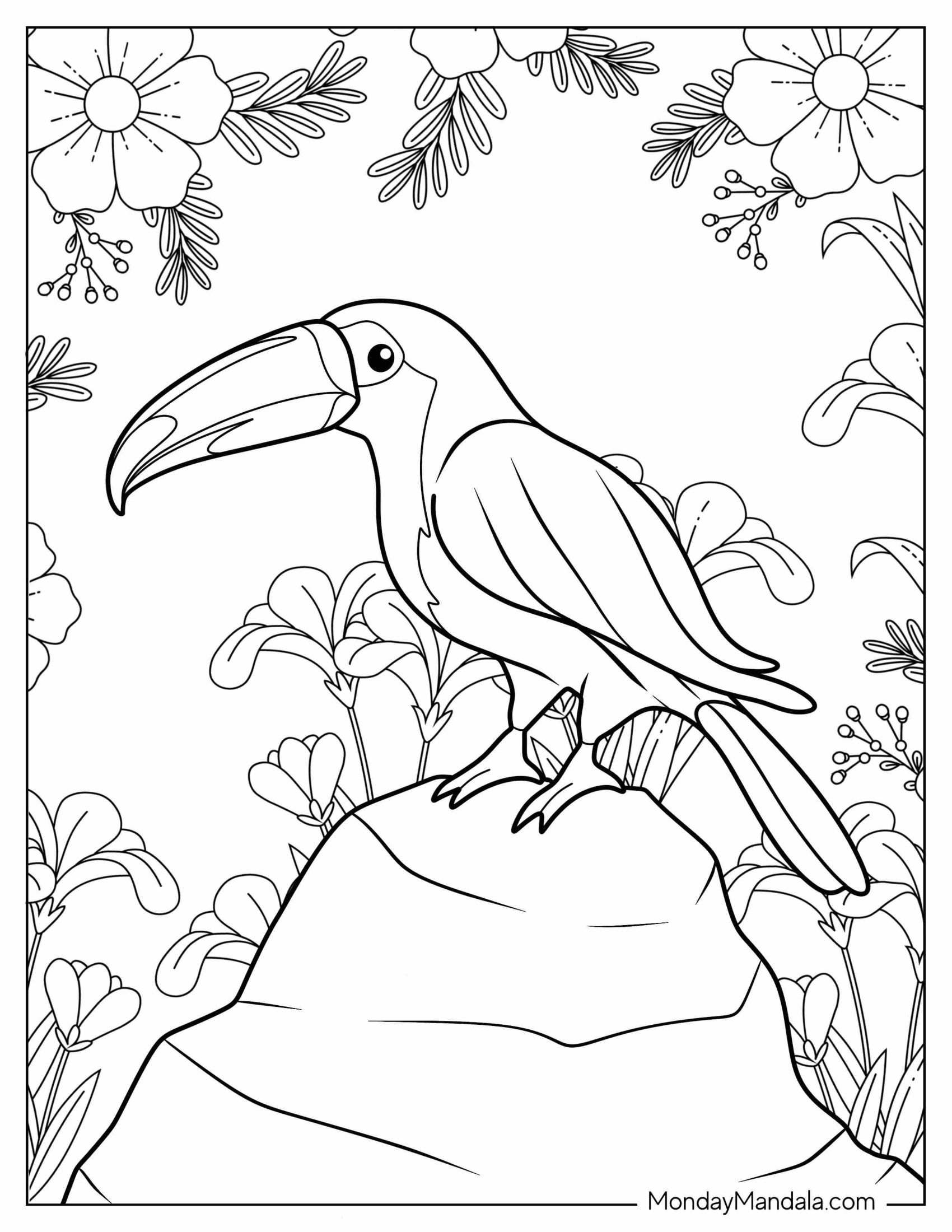 Toucan Parrot Coloring Sheet