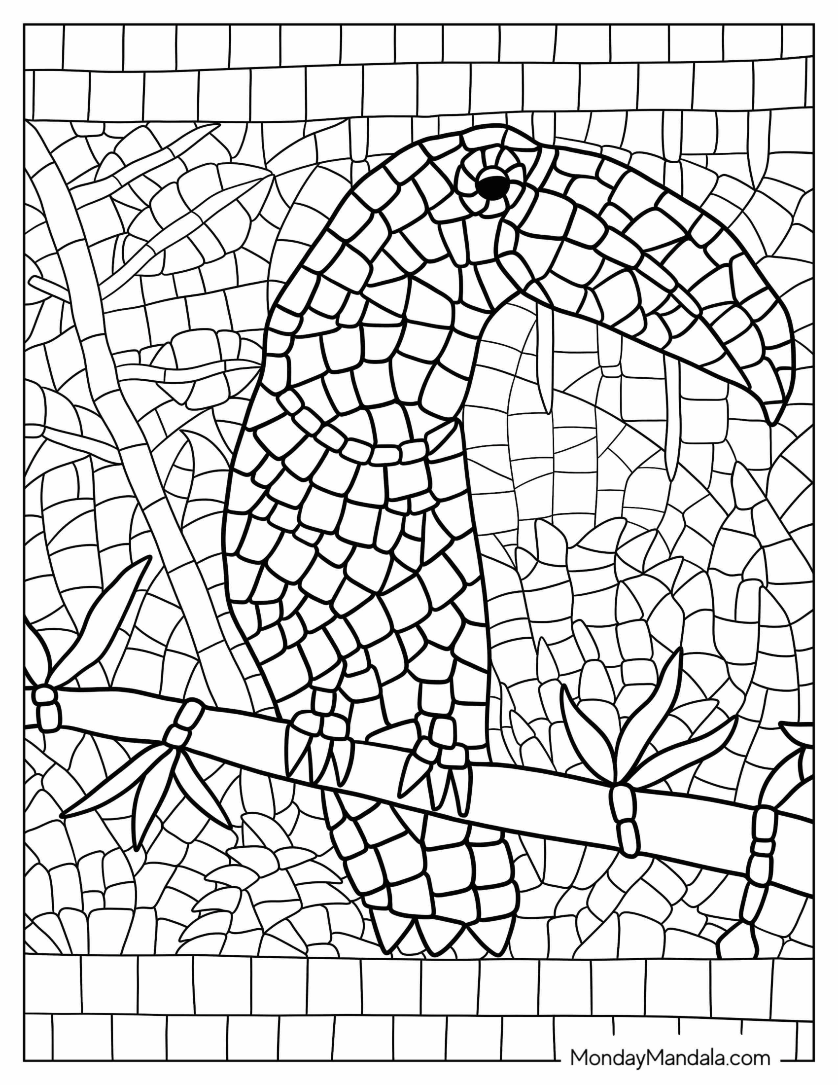 Tucan Mosaic Coloring Page