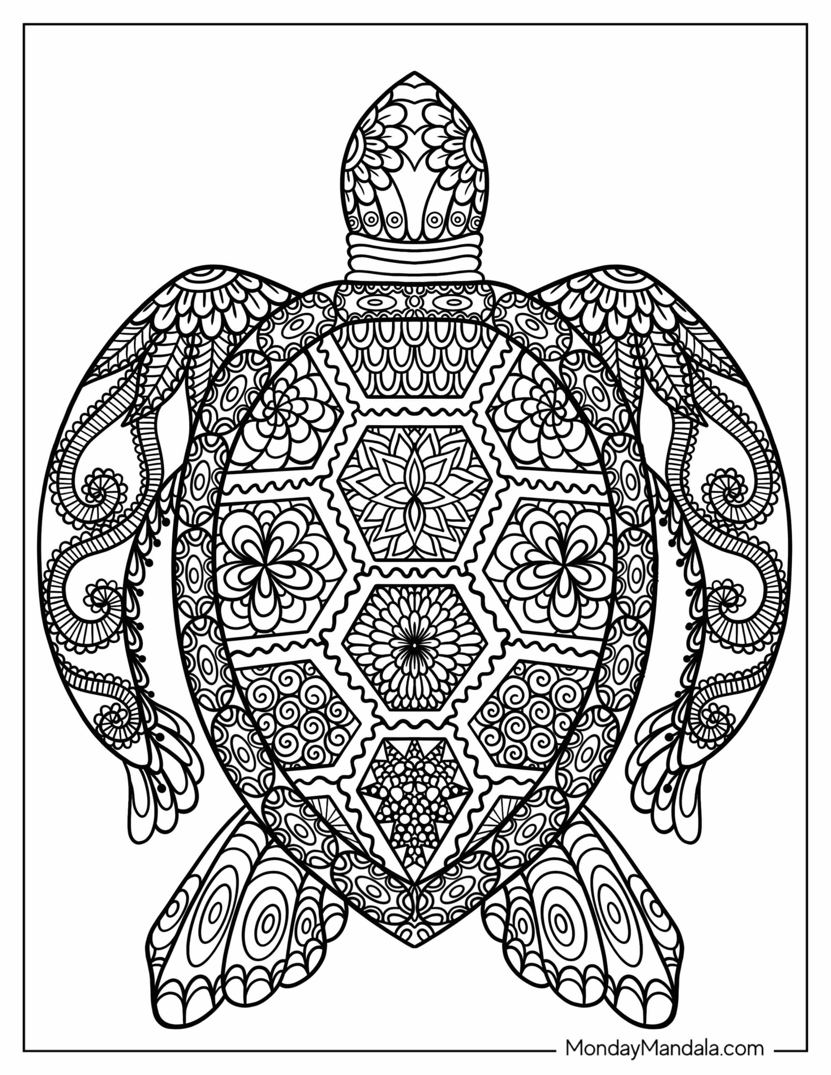 Turtle Mandala