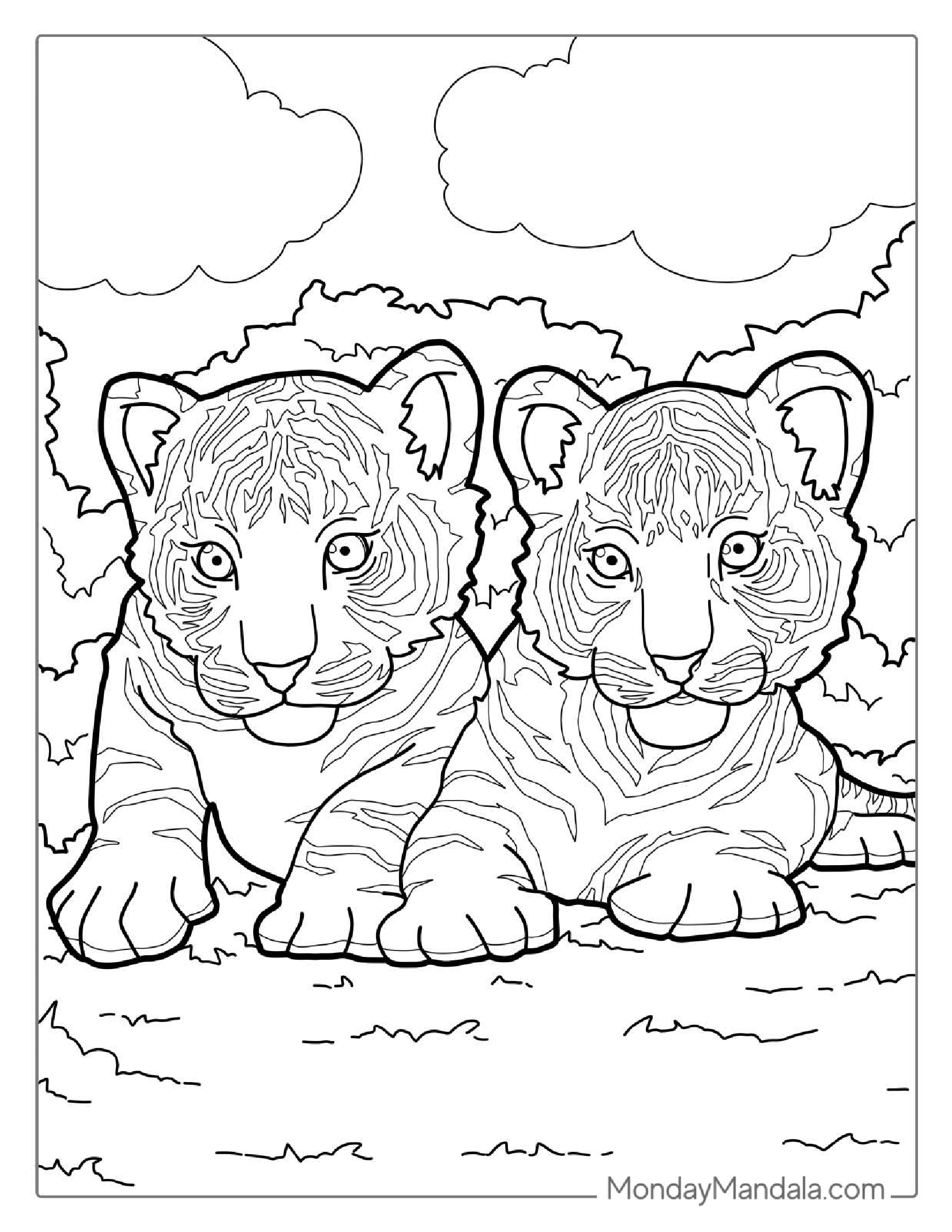 Two Tiger Cubs About To Pounce Coloring Page