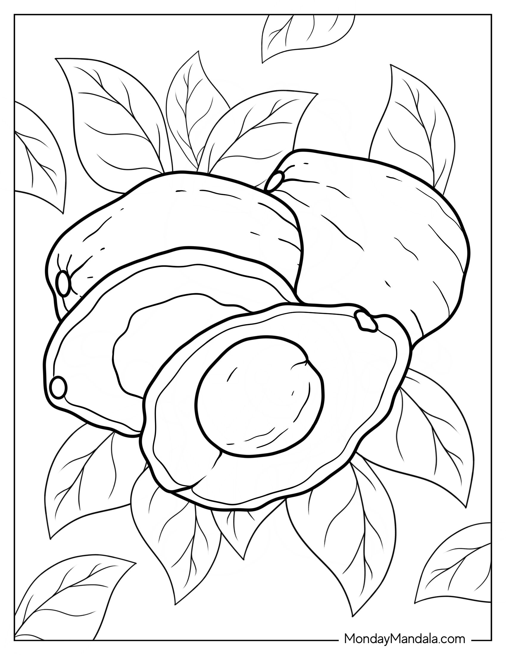 Whole Avocados Coloring Page With Halves